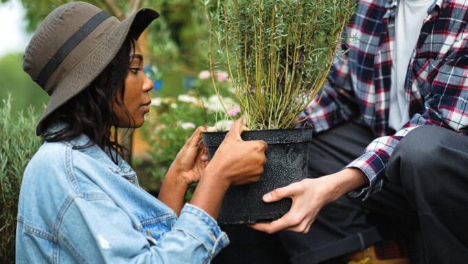 Why Community Gardens Are Blooming in 2026