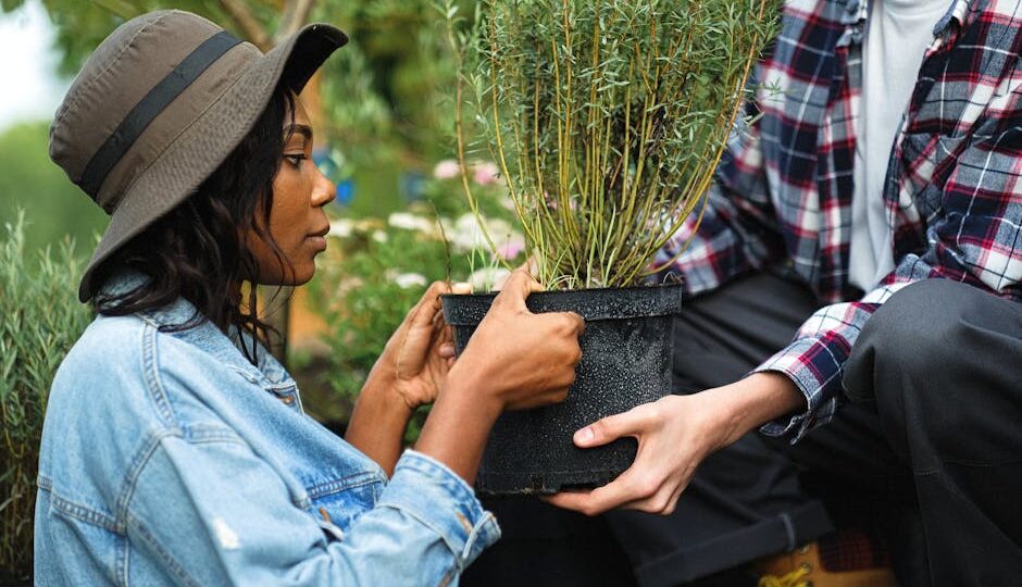 Why Community Gardens Are Blooming in 2026