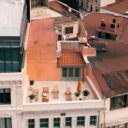 The Green Renaissance of 2026: How Urban Gardening is Transforming Cities and Lives