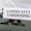 The Community Garden Renaissance: How Green Spaces Are Transforming Neighborhoods in 2026