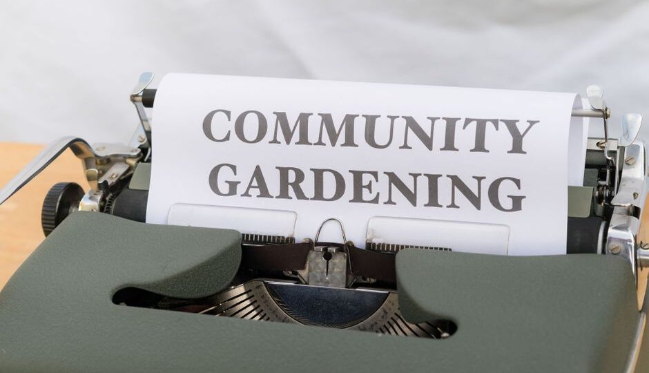 The Community Garden Renaissance: How Green Spaces Are Transforming Neighborhoods in 2026
