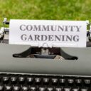 From Plot to Plate: The Incredible Surge of Urban Farming Cooperatives in 2026