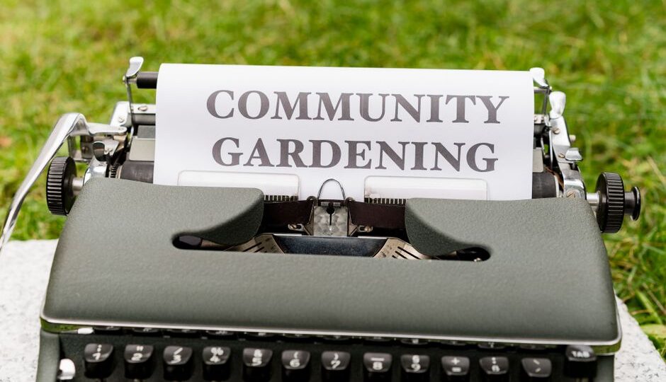 From Plot to Plate: The Incredible Surge of Urban Farming Cooperatives in 2026