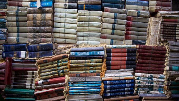 The Rise of Nature Libraries: How 2026 Is Cultivating Knowledge Among the Trees
