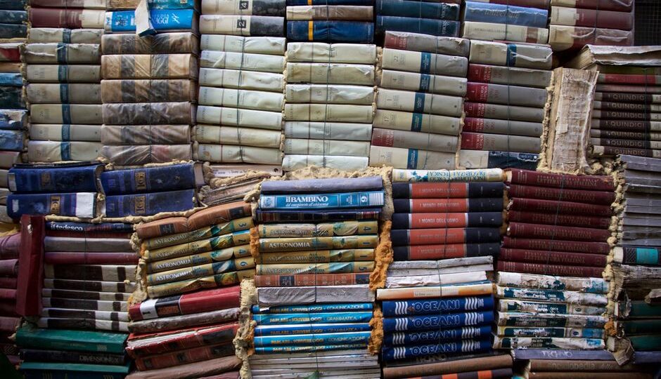 The Rise of Nature Libraries: How 2026 Is Cultivating Knowledge Among the Trees