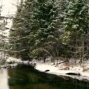 The Unplugged Connection: How 2026’s Silent Retreats Are Bringing People Together